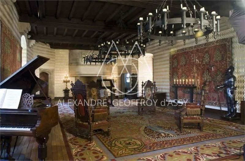 Château - 3 500 m² - 30 pièces