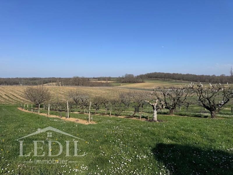 Maison de maîtres - 330 m² - 6 pièces