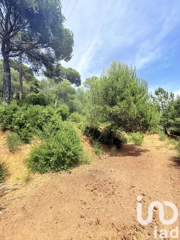 Maison - 206 m² - 7 pièces