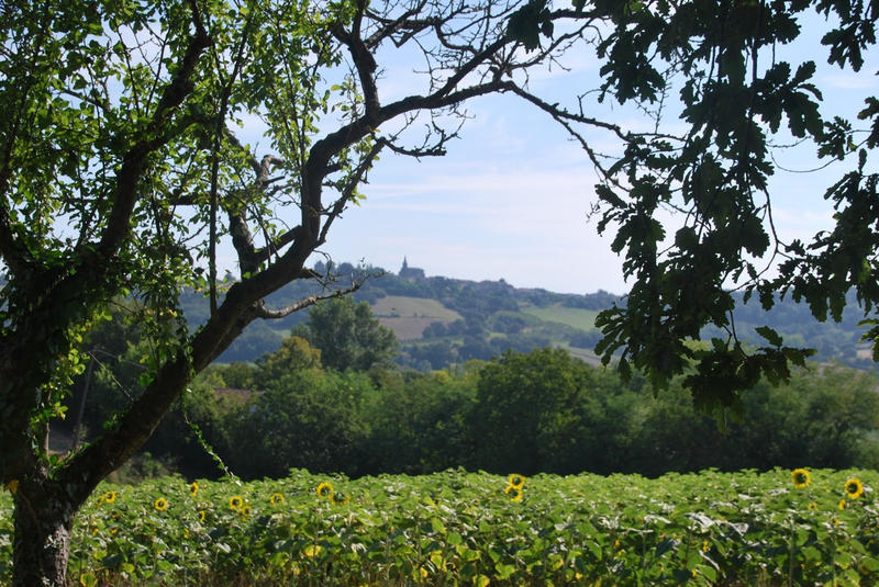 Maison - 316 m² - 11 pièces