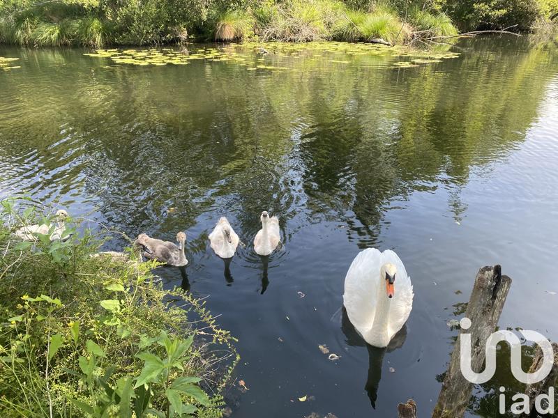 Maison - 115 m² - 6 pièces