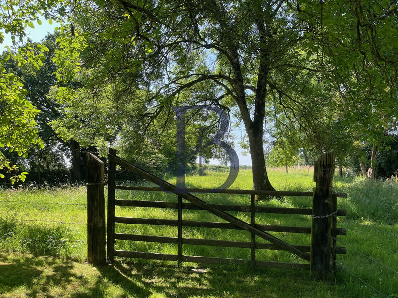 Maison ancienne - 130 m² - 6 pièces