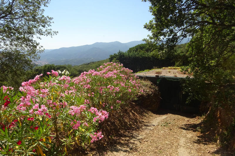 Maison - 235 m² - 7 pièces