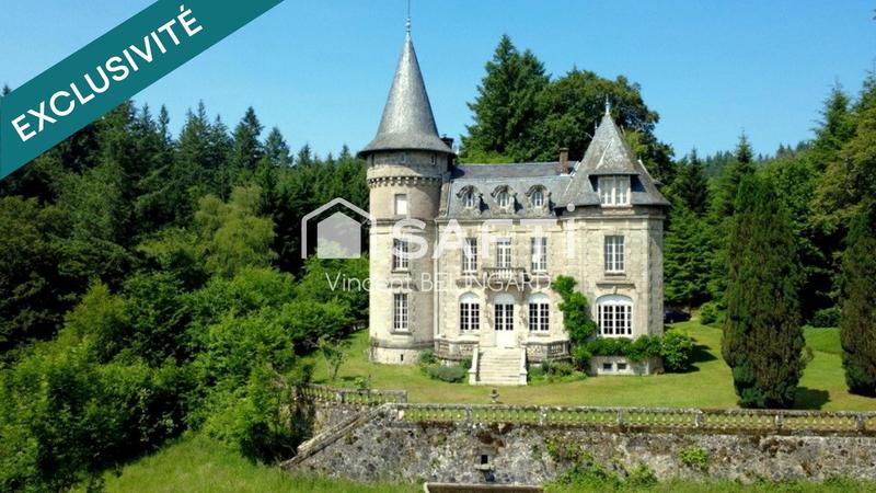 Château - 900 m² - 28 pièces