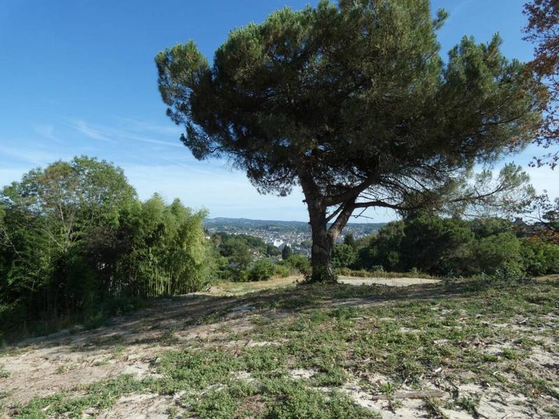 Terrain - 1 005 m²