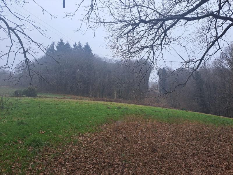 Terrain constructible - 8 903 m²