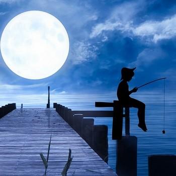 Semi nocturne grosses truites