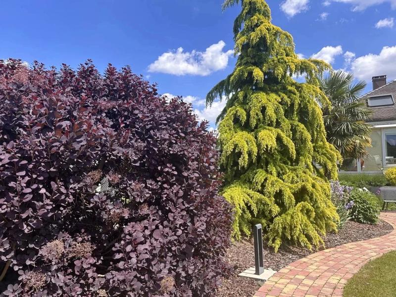 Maison - 204 m² - 7 pièces