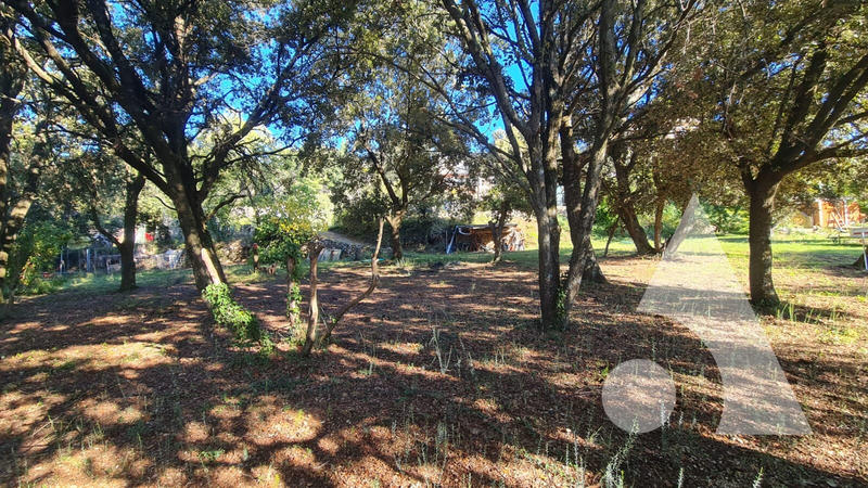 Maison - 270 m² - 8 pièces