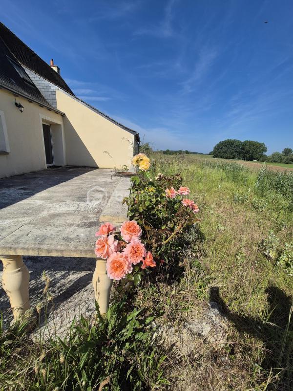 Longère - 214 m² - 6 pièces