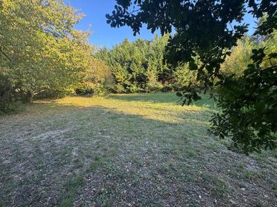 Terrain constructible - 1 000 m²