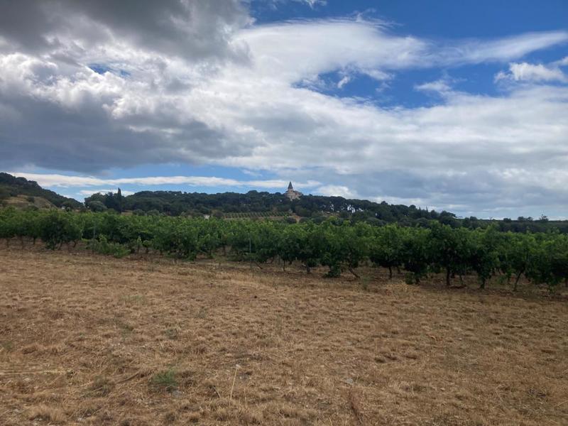 Mas - 196 m² - 8 pièces