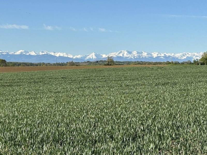 Propriété - 191 m² - 16 pièces