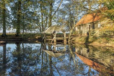 Manoir - 675 m² - 17 pièces