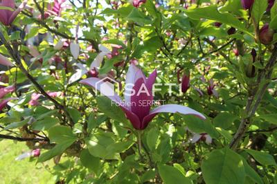 Maison - 193 m² - 8 pièces