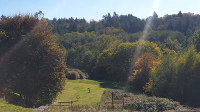 Maison - 131 m² - 6 pièces