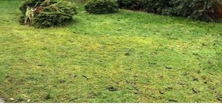 Terrain constructible - 540 m²