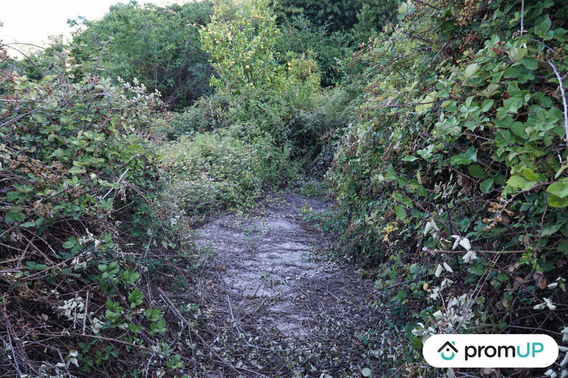 Terrain de loisirs - 1 195 m²