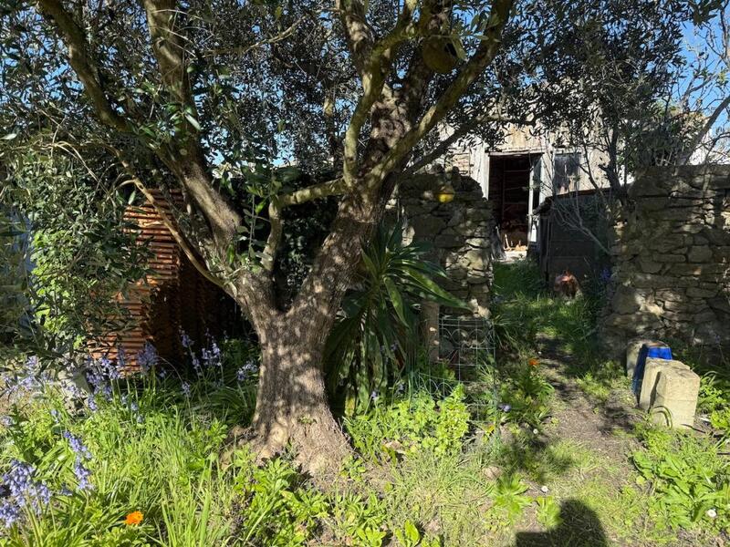 Maison - 129 m² - 5 pièces