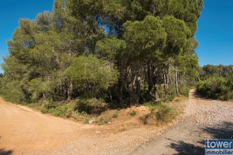 Terrain de loisirs - 42 302 m²