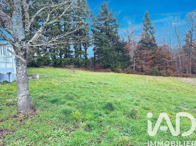 Maison - 81 m² - 4 pièces