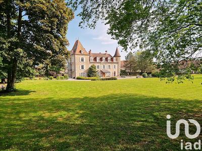 Château - 677 m² - 21 pièces