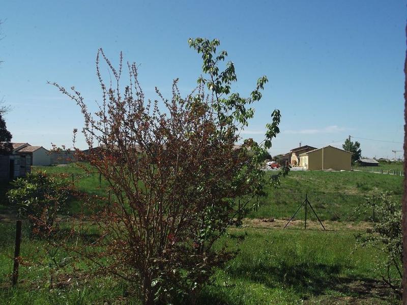 Maison traditionnelle - 102 m² - 5 pièces