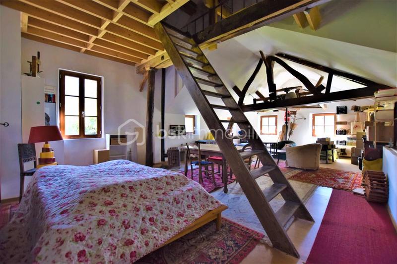 Moulin - 196 m² - 8 pièces