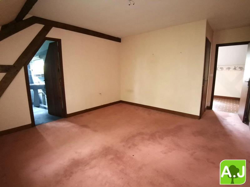 Maison ancienne - 332 m² - 9 pièces