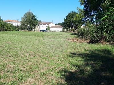 Terrain - 768 m²