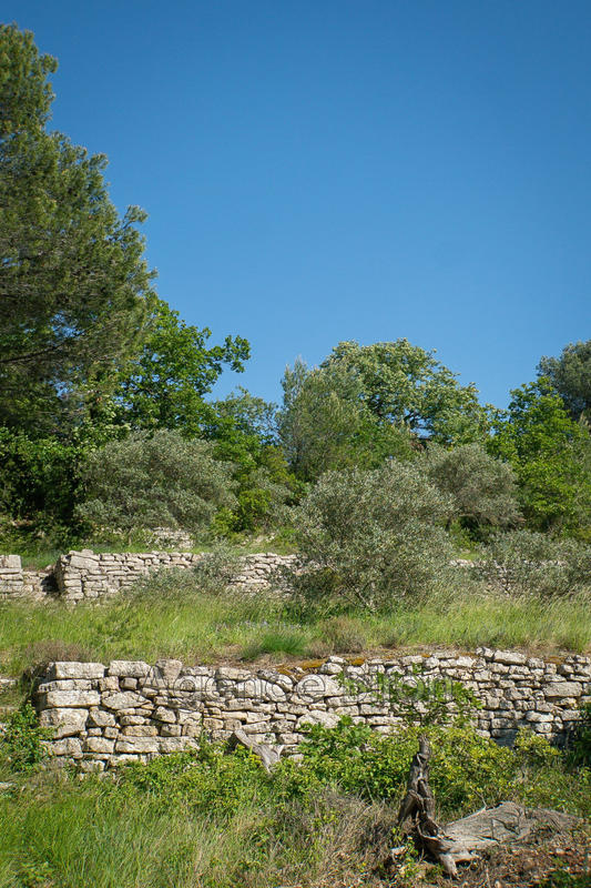 Propriété - 700 m² - 10 pièces