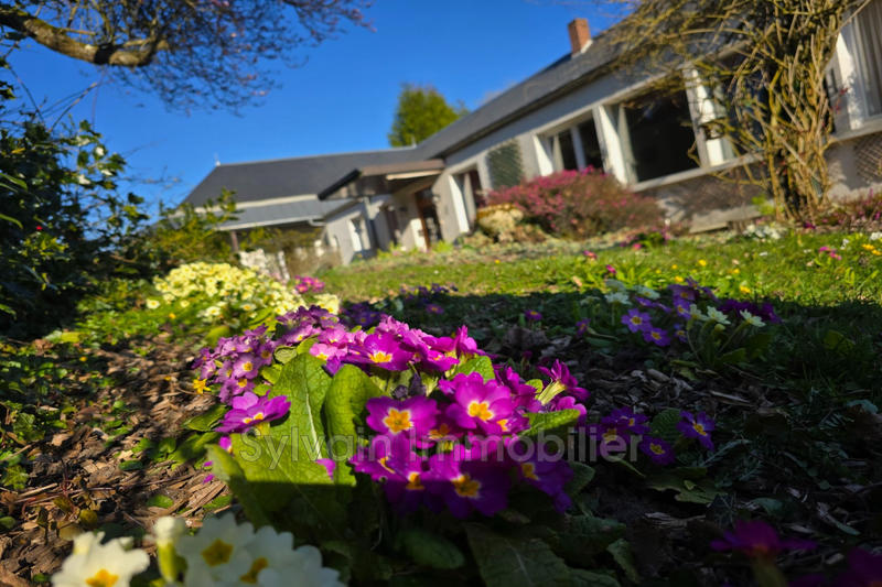 Maison - 194 m² - 6 pièces