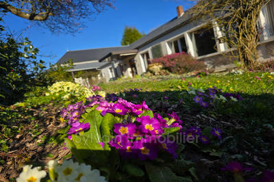 Maison - 194 m² - 6 pièces