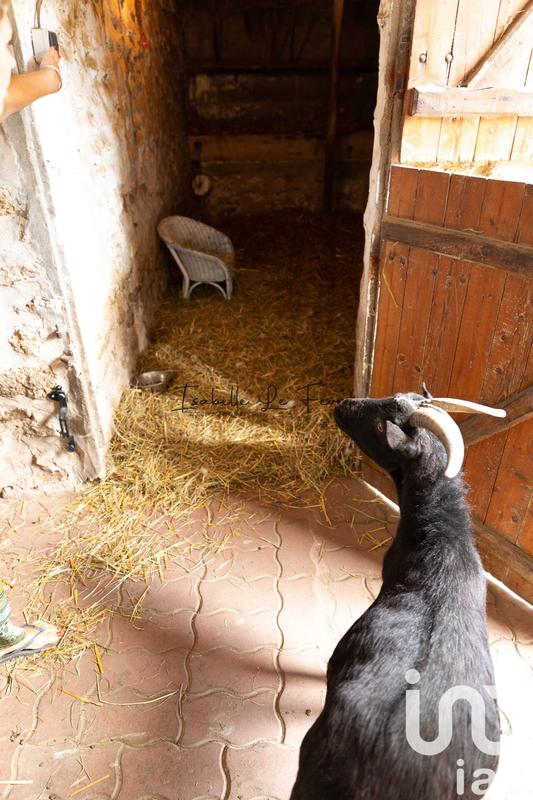 Maison - 334 m² - 12 pièces