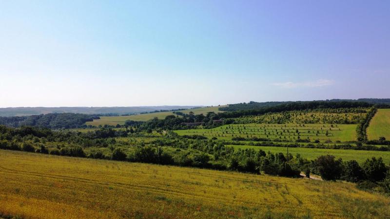 Propriété - 477 m² - 12 pièces