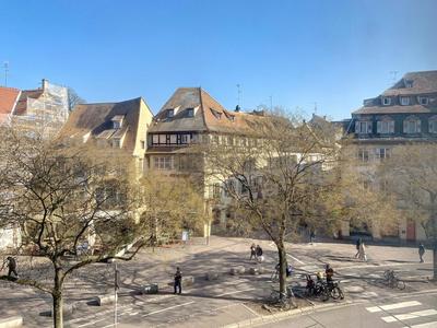 Local d'activité / Entrepôt - 77 m² - 3 pièces