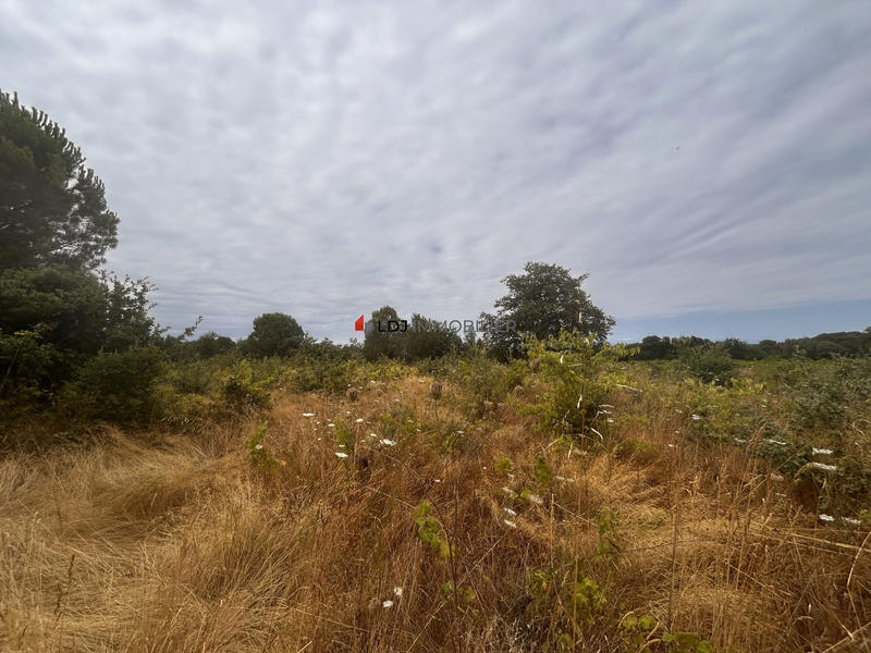 Terrain agricole - 5 000 m²