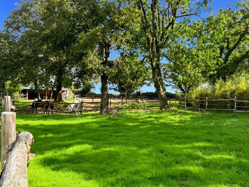 Maison - 196 m² - 7 pièces