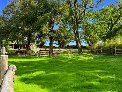 Maison - 196 m² - 7 pièces