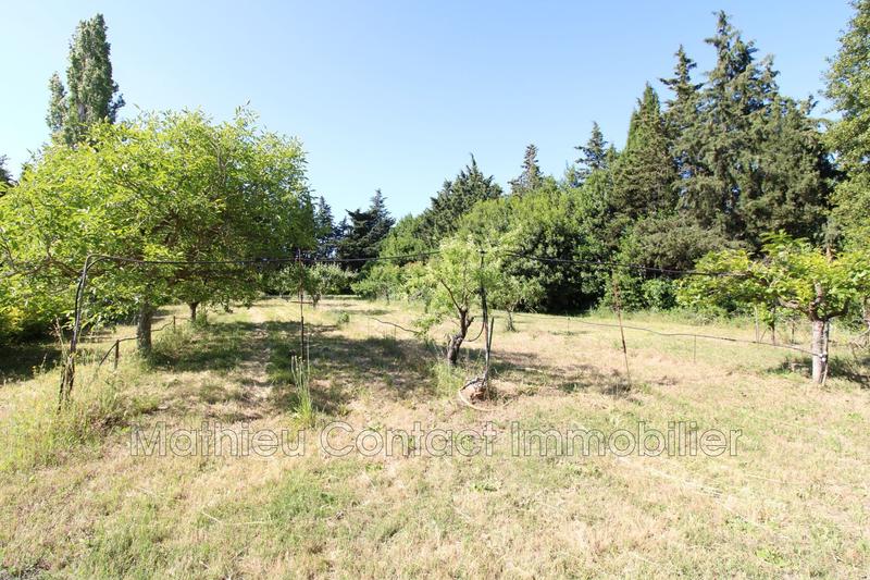 Mas - 230 m² - 7 pièces