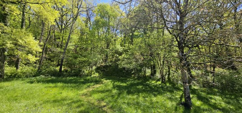 Maison - 191 m² - 10 pièces