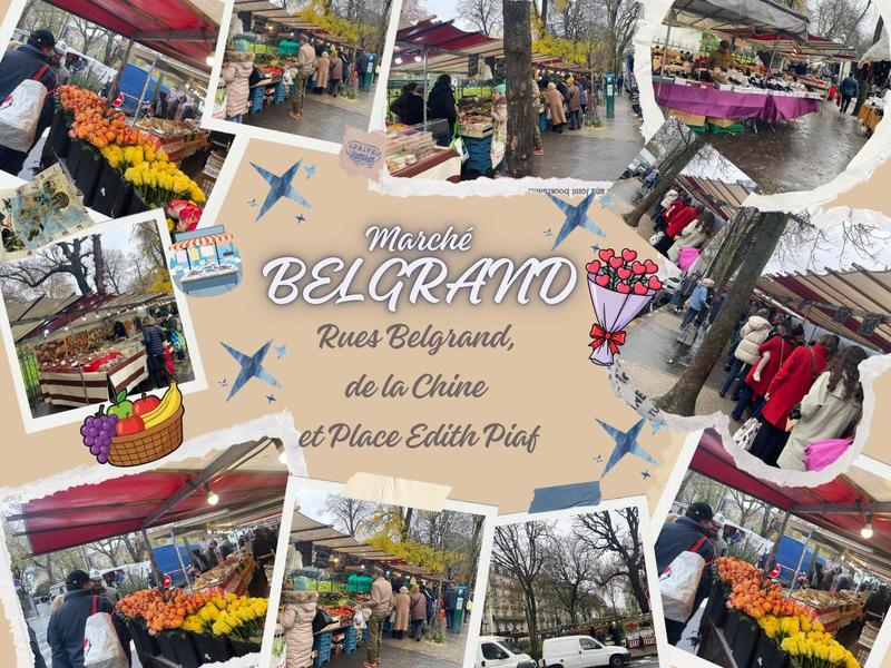 Appartement - 31 m² - 2 pièces