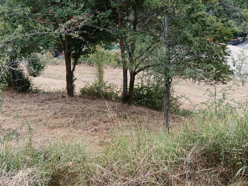 Terrain constructible - 2 295 m²