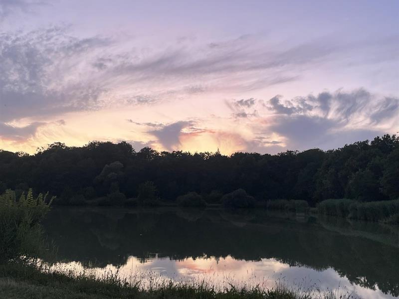 Visite nature - Vespéral