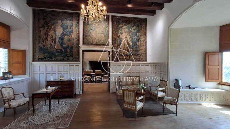 Château - 3 000 m² - 16 pièces