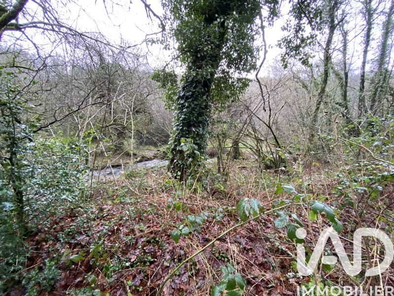 Terrain - 34 801 m²