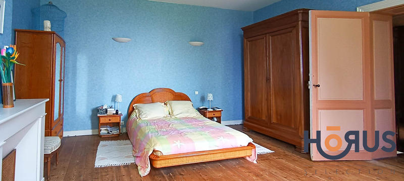 Viager - Maison - 395 m² - 8 pièces