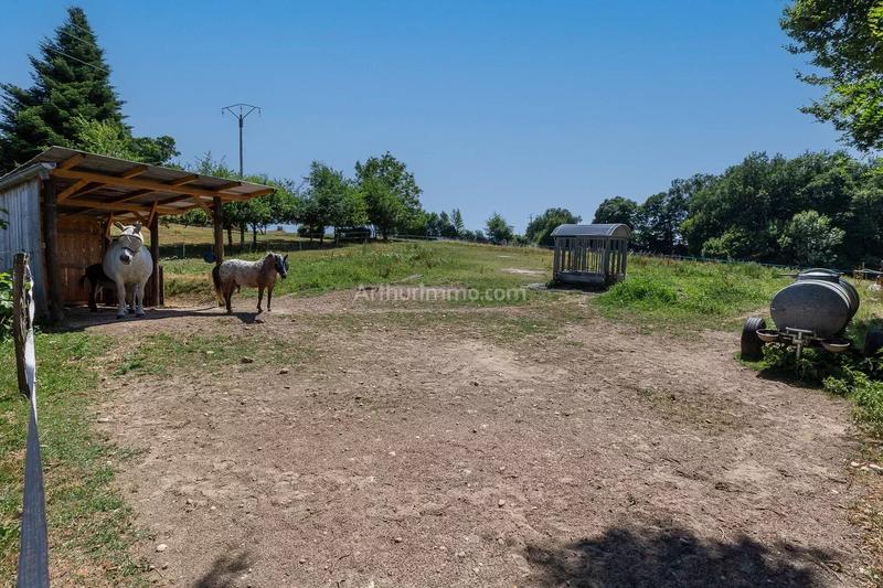 Maison - 164 m² - 12 pièces