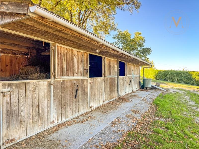 Corps de ferme - 230 m² - 9 pièces