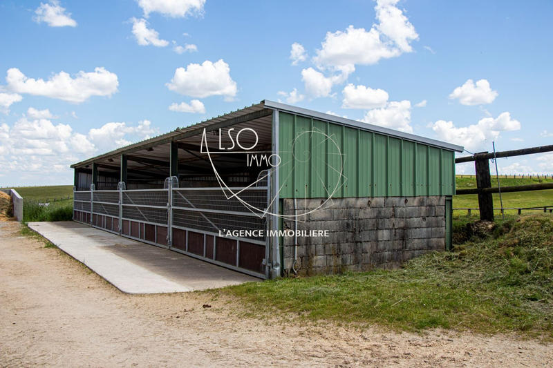 Ferme - 226 m² - 5 pièces